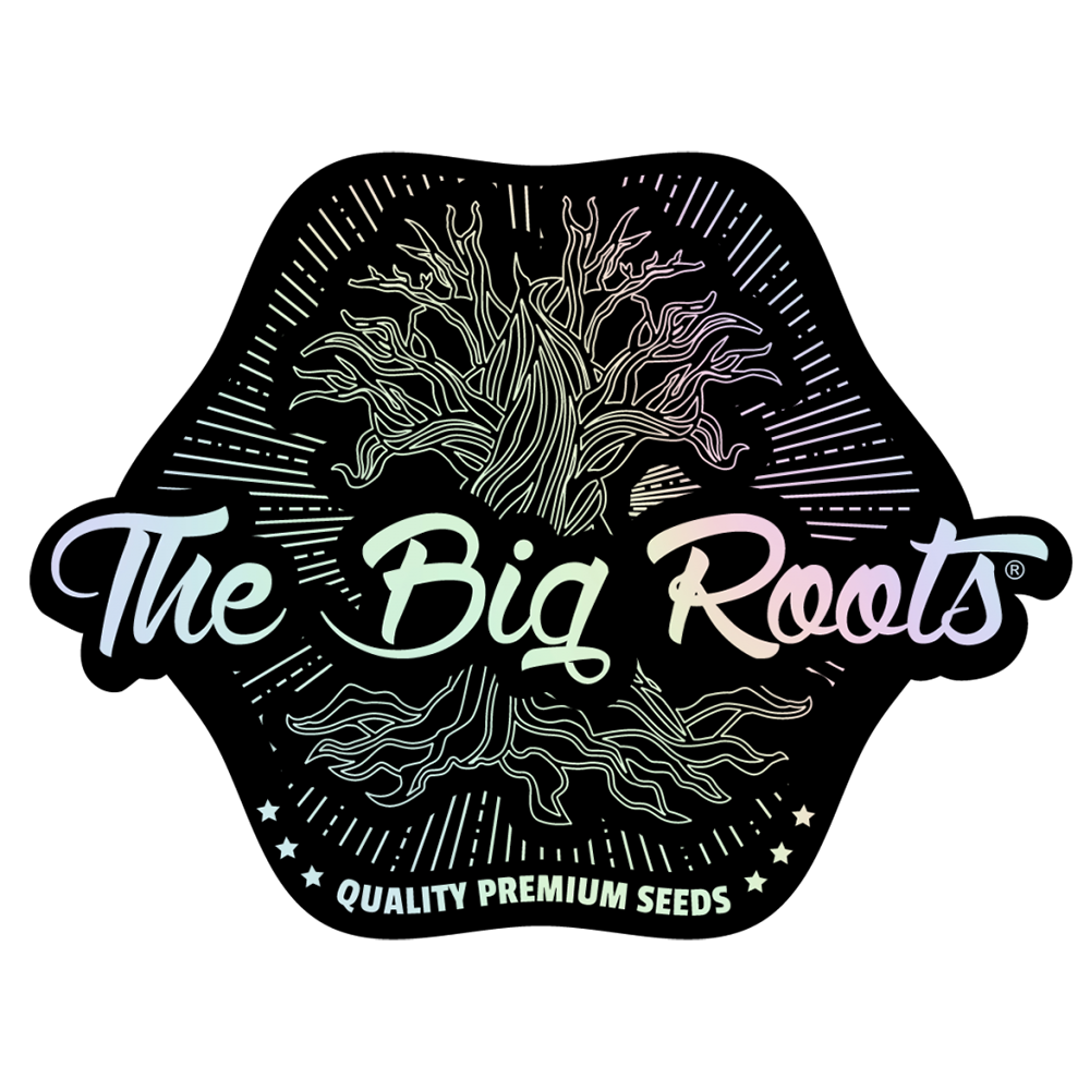 The Big Roots