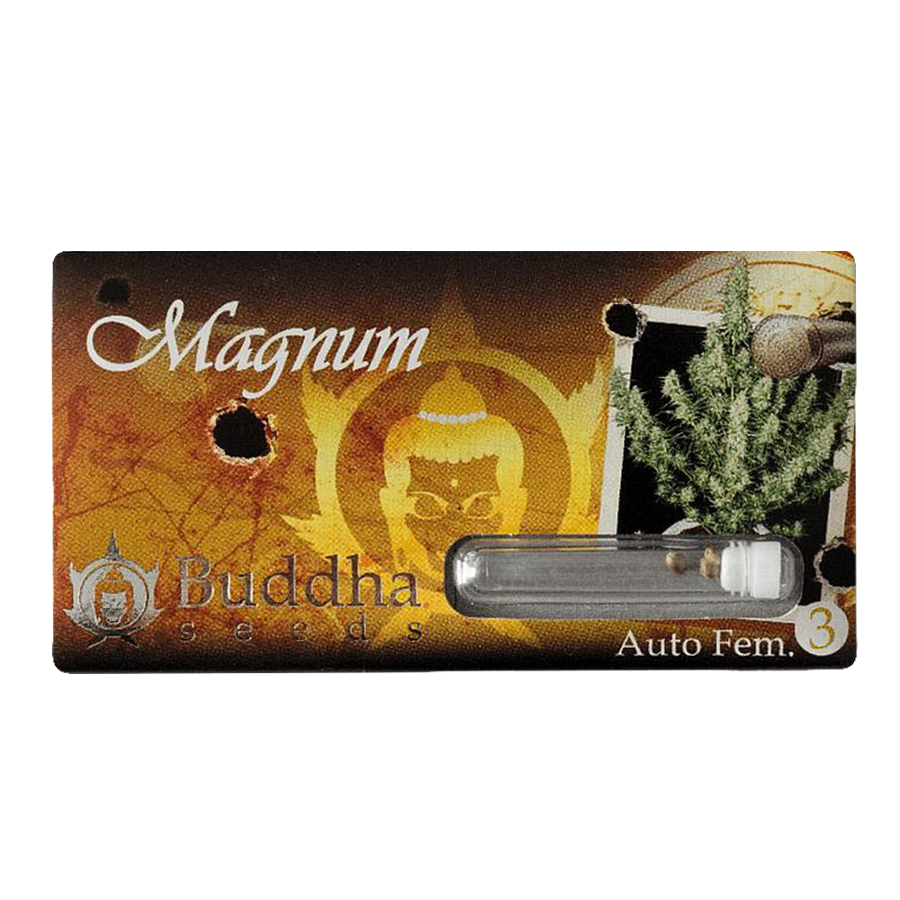 BUDDHA SEEDS MAGNUM AUTO X3