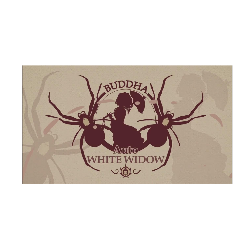 BUDDHA SEEDS WHITE WIDOW AUTO X3