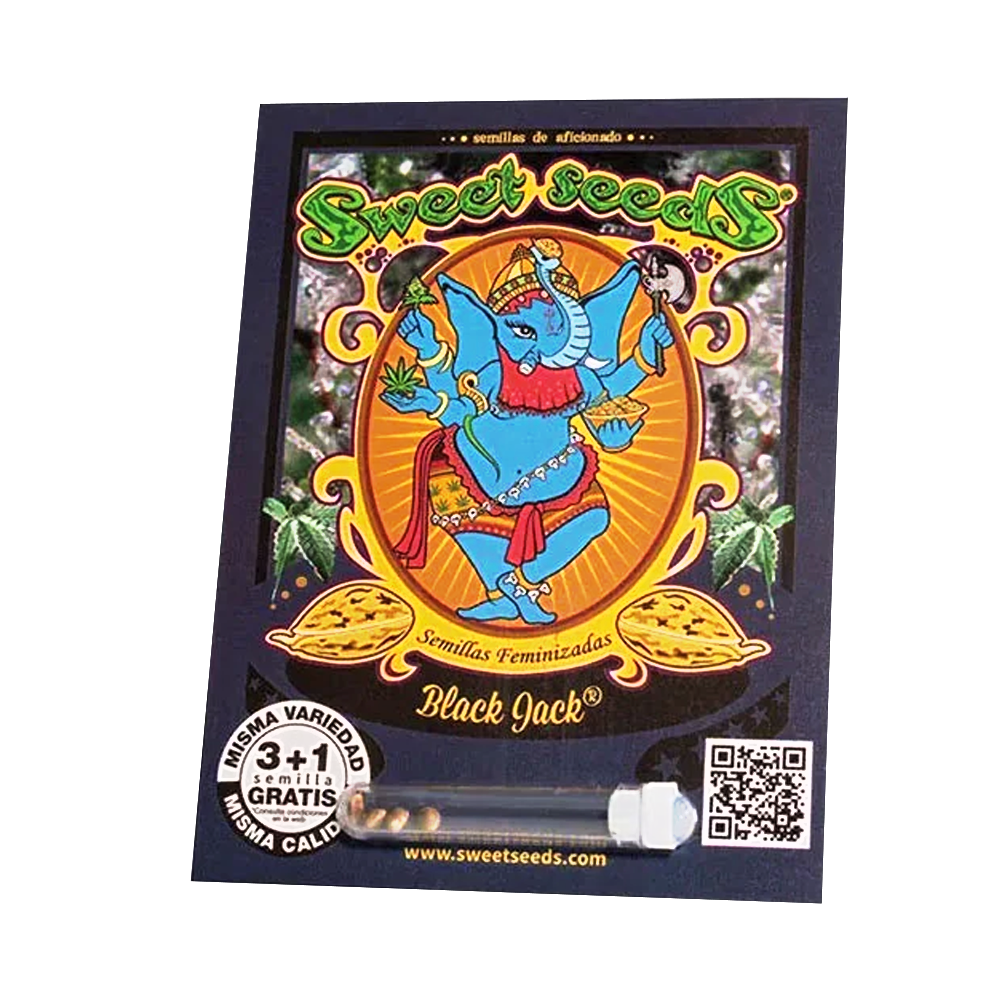 SWEET SEEDS BLACK JACK X3+1