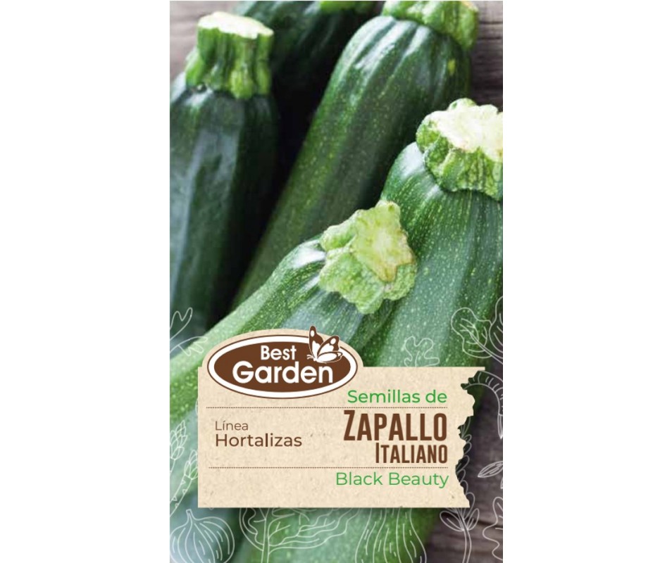 BEST GARDEN SEMILLA ZAPALLO ITALIANO 5GRS