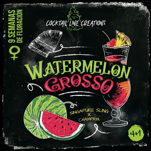 WATERMELON GROSSO 4+1  SMALL BATCH COLLECTION