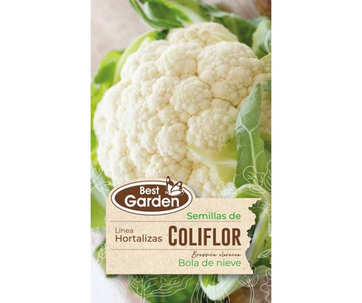 BEST GARDEN SEMILLA COLIFLOR 3GRS