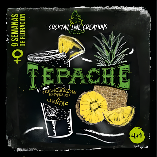 TEPACHE 4+1 SMALL BATCH COLLECTION